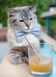 华体会官网-独一时刻，总决赛夜，英格拉姆的不朽回响  第2张